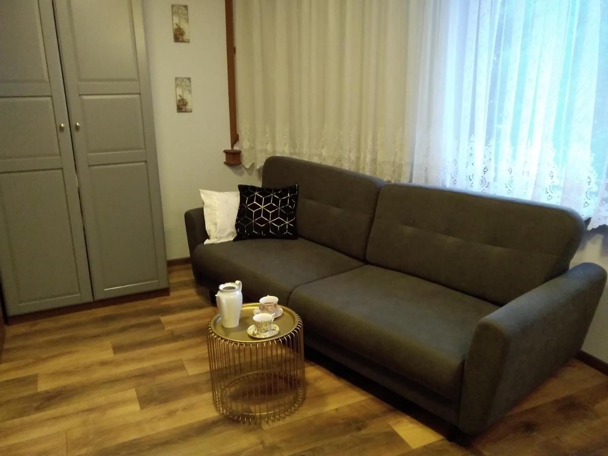 דירות Oświęcim Secesja House מראה חיצוני תמונה